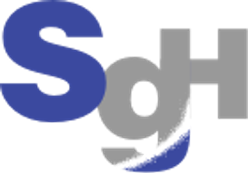 A blue logo featuring the text SG Holdings with a stylized graphic design of rounded squares